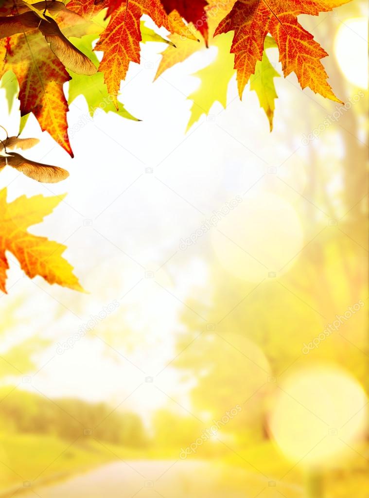 Stock Photos Fall Background at William Domingue blog