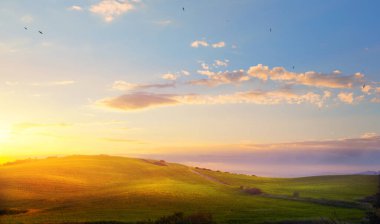 Yeşil yuvarlanan tepeleri olan huzurlu bahar manzarası, açık kırsal alan, yumuşak akşam ışığı, ve sakin doğal bir zemin oluşturan açık gökyüzü.