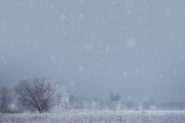 Arte natale inverno sfondo; paesaggio innevato — Foto Stock