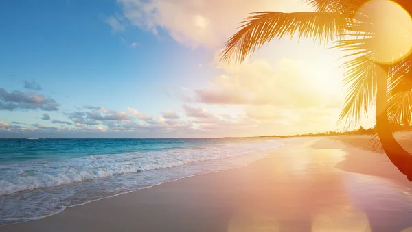Sanat yaz tatili okyanus plaj — Stok fotoğraf