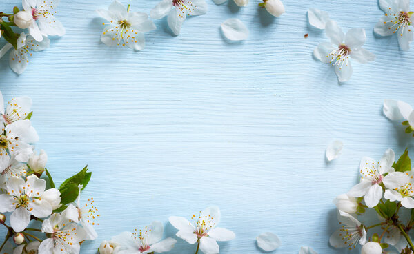 Arte Fondo de borde de primavera con flor blanca — Imagen de stock Arte Fondo de borde de primavera con flor blanca Fotos De Stock