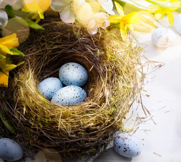 Art Fond de Pâques avec oeufs de Pâques — Photo