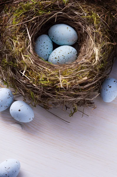 Arte Sfondo pasquale con uova di Pasqua sul nido — Foto Stock