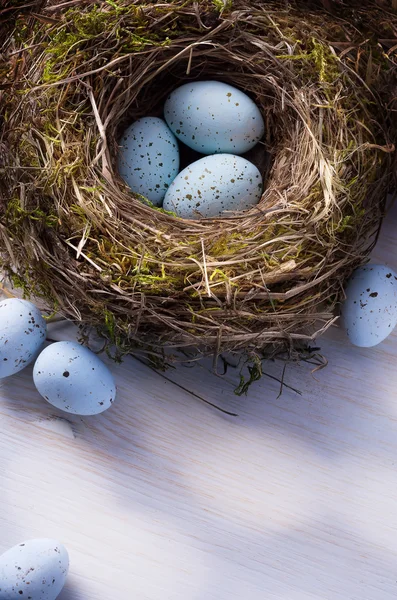 Arte Fondo de Pascua con huevos de Pascua en el nido —  Fotos de Stock