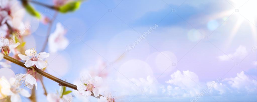 art Spring blossom background