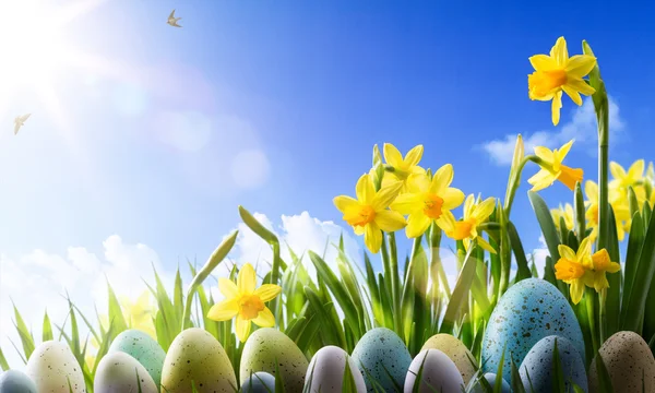 Arte Sfondo pasquale; Fiori primaverili e uova di Pasqua — Foto Stock