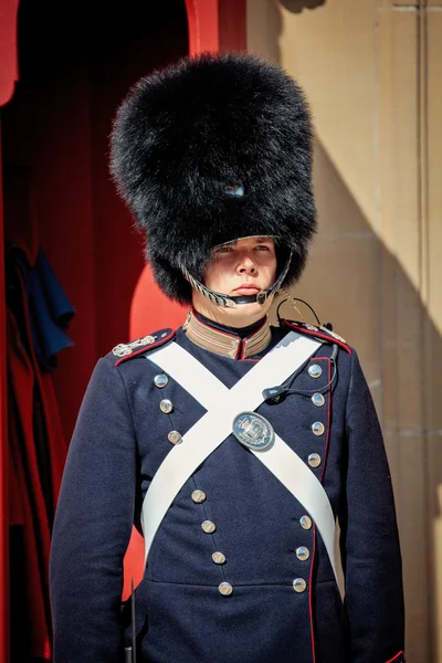Guards of honour in Copenhagen — Stock Photo, Image