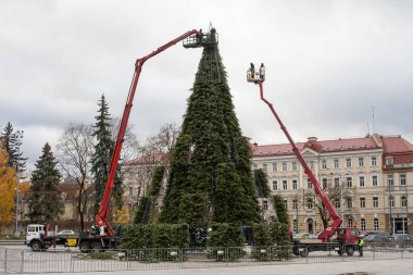 Vilnius, Litvanya - 20 Kasım 2020: Şehrin ana Noel ağacı hazırlığı devam ediyor. Litvanya, Vilnius 'taki Katedral Meydanı.