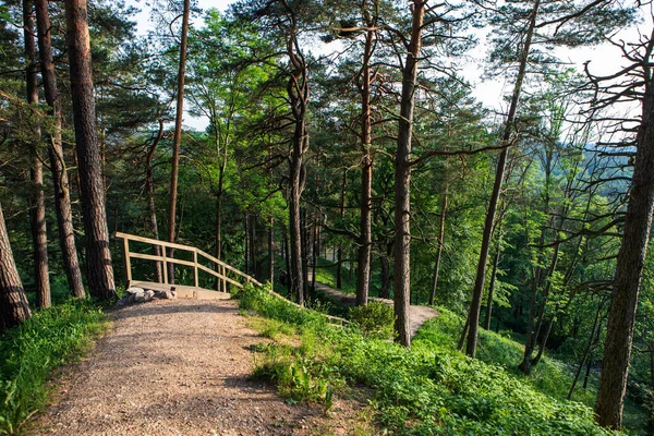 Hill Fort Naujoji Reva Silenai Cognitive Park Vilnius Lithuania Touristic — Stock Photo, Image