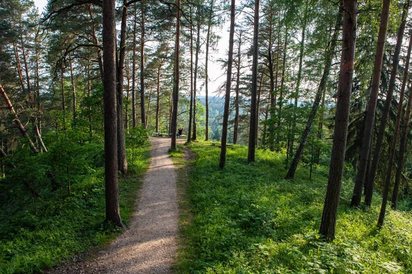 Hill Fort Naujoji Reva Kognitivním Parku Silenai Vilniusu Litvě Tato — Stock fotografie