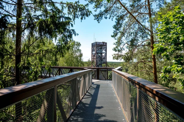 Anyksciai Treetop Walking Path Var Litauens Första Takväg Den Finns — Stockfoto
