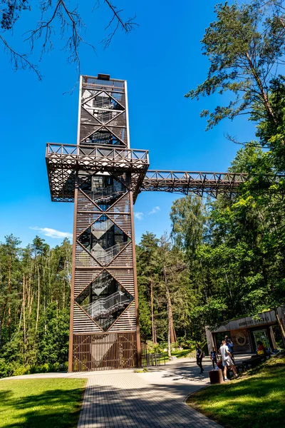 リトアニアのアンヌキーサイ 2020年7月9日 アンヌキーサイ木の上を歩く道は リトアニアで最初に建設されたキャノピーの歩道です リトアニアのAnyksciai地域公園にあります — ストック写真