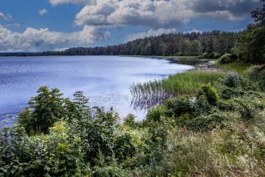 Baluosas Gölü manzarası, Aukstaitija Ulusal Parkı, Litvanya