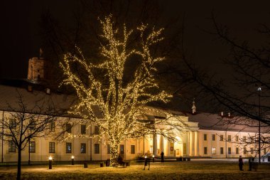 Vilnius, Litvanya - 13 Aralık 2020: Litvanya Ulusal Müzesi önünde aydınlatılmış meşe. Meşe ağacı, ünlü erkek korosu Azuoliukas 'ın kurucusu ve şefi Hermanas Perelsteinas' a adanmıştır..
