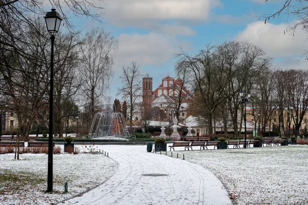 Вильнюс Литва Января 2021 Года Бернардинский Сад Зимой Покрыт Белым — стоковое фото