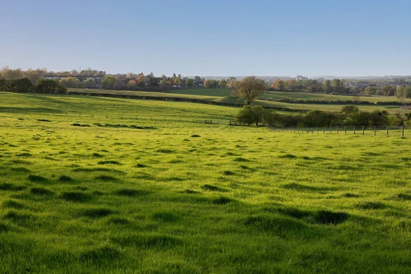 Green Meadow Trees Evening Sun Scenic View Spring Rural Landscape — Stock Photo, Image