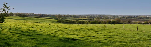 Grüne Wiesen Und Bäume Der Abendsonne Landschaftliche Ansicht Des Frühlings — Stockfoto