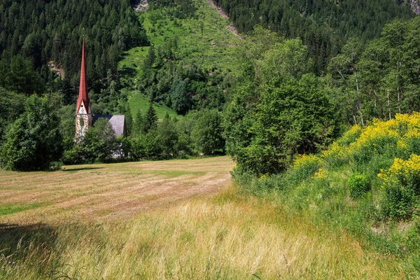 오스트리아 공원의 헤이젠 Pockhorn 마르틴 교회와 알프스 — 스톡 사진