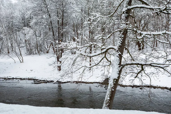 Río Vilnia Vilna Lituania Durante Temporada Invierno — Foto de Stock