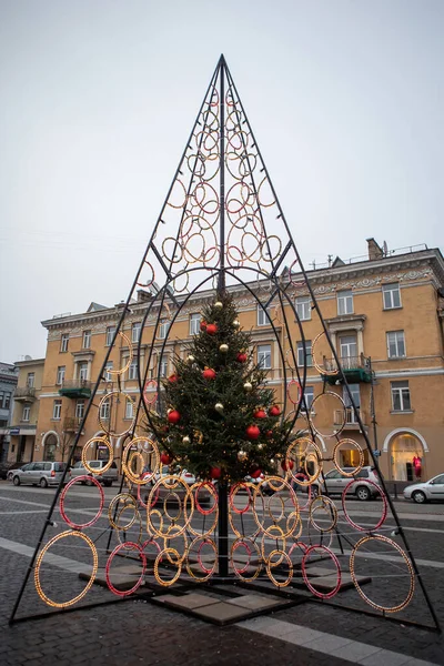 Vilnius Litouwen December 2016 Dag Uitzicht Kerstboom Het Stadhuis Plein — Stockfoto