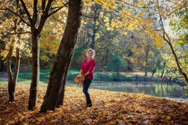 Mutlu kadın parka sonbahar yaprakları kusar. Çekici sarışın beyaz bir kadının portresi altın sonbahar mevsiminin tadını çıkarıyor.