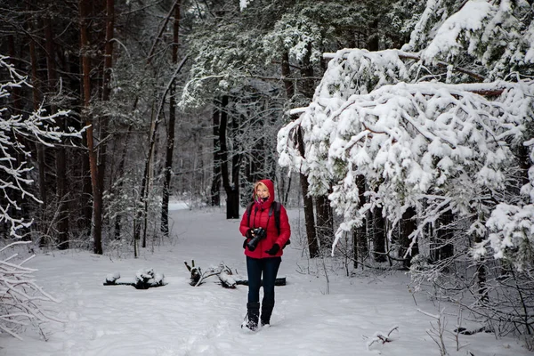 Kvinnlig Natur Fotograf Promenader Den Snöiga Vinterskogen Med Fotokamera Och Stockfoto