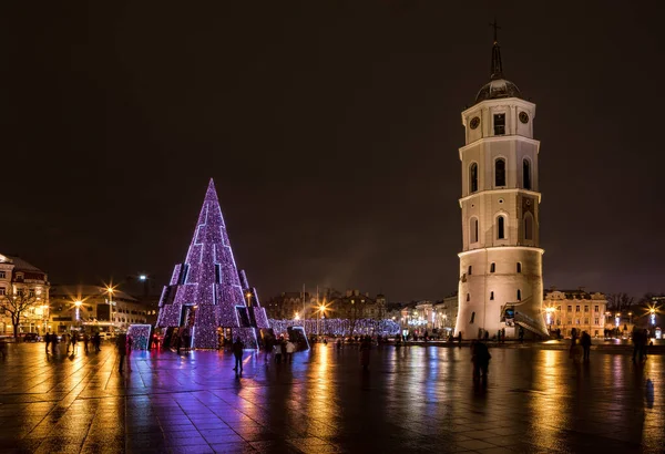 立陶宛维尔纽斯 2020年12月13日 立陶宛首都维尔纽斯的主圣诞树夜景 它坐落在大教堂广场上 紧邻大教堂及其钟楼 — 图库照片