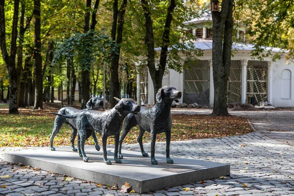 Vilnius Litauen September 2018 Die Statue Litauische Hunde Sereikiskes Park — Stockfoto