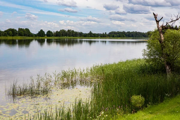 Pintoresco Paisaje Del Lago Siesikai Frente Castillo Siesikai Distrito Ukmerge —  Fotos de Stock