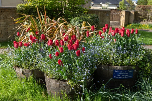 英国伍德斯托克 2018年5月1日 伍德斯托克春天花盆 用鲜花装饰是由马尔博罗公爵殿下赞助的 — 图库照片