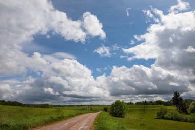 Yazın asfaltsız yolları ve yeşil otlakları olan kırsal alan. Kabarık kümülüs bulutları olan büyük gökyüzü. Litvanya, Zarasai Bölgesi