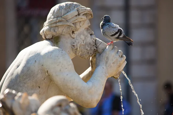 Fontana del Moro — Stockfoto