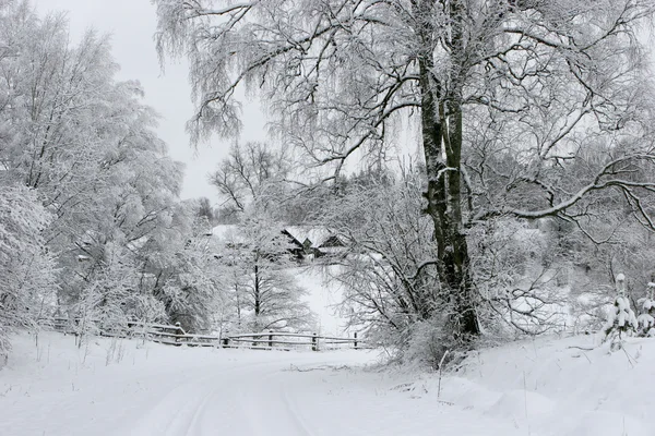 Paesaggio invernale — Foto Stock