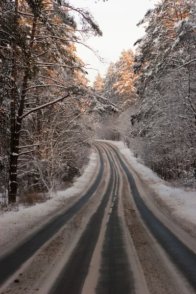 Camino de invierno — Foto de Stock