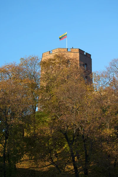 Wieża Giedymina — Zdjęcie stockowe