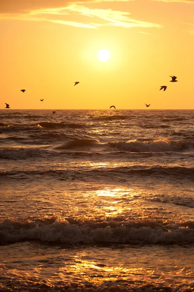 Zonsondergang in de Oostzee — Stockfoto