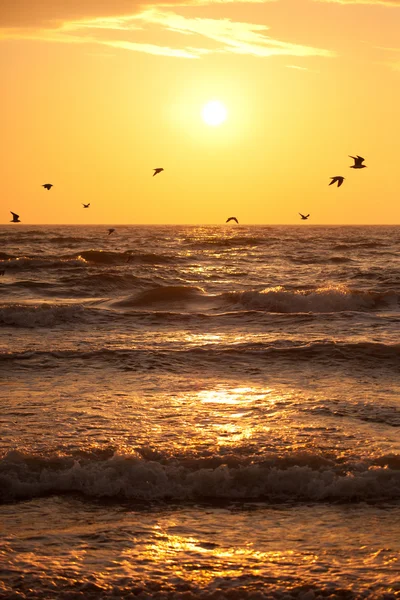 バルト海の夕日 — ストック写真