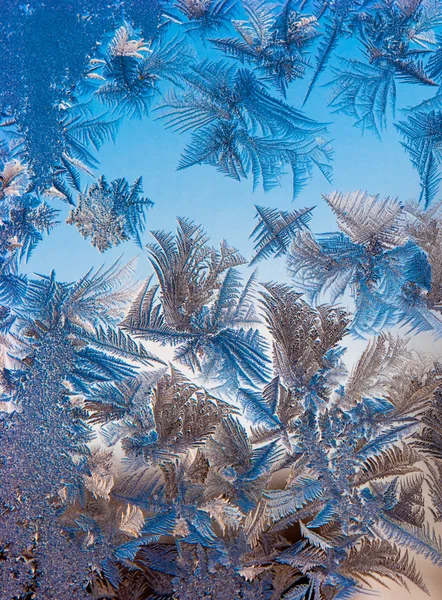 Hoarfrost pe fereastră — Fotografie, imagine de stoc