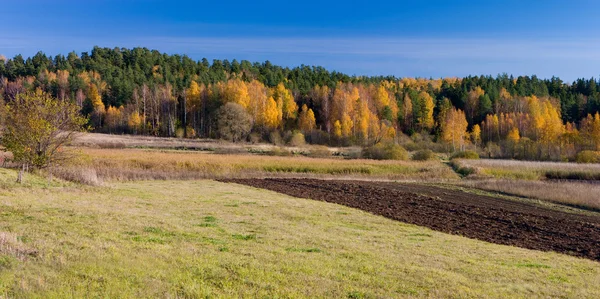Autumn roral landscape — Stock Photo, Image
