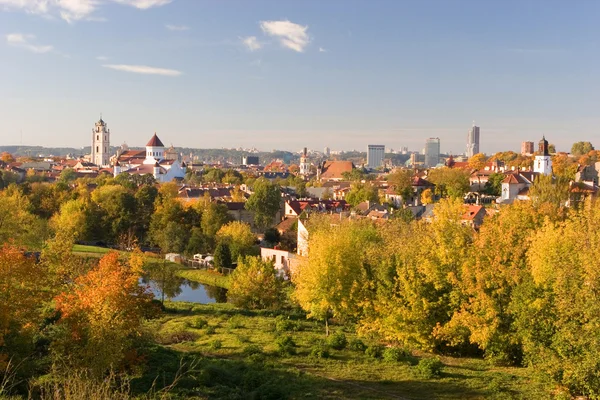 Вильнюсская панорама — стоковое фото