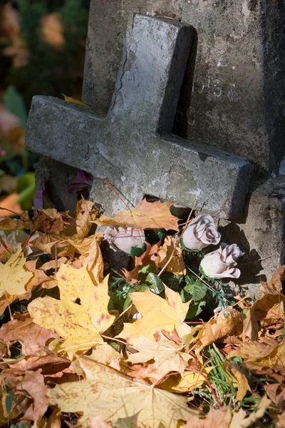 Rasu cemetery — Stock Photo, Image