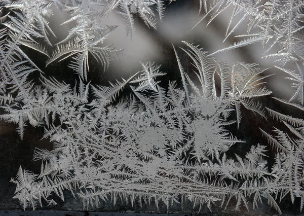 Frosted window — Stock Photo, Image