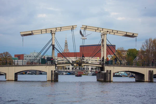 Magere brücke in amsterdam — Stockfoto