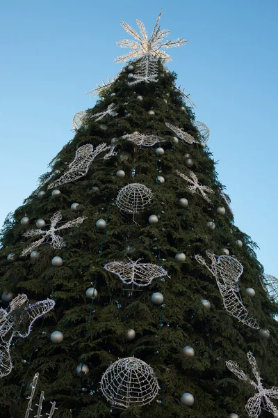 A árvore de Natal principal de Vilnius — Fotografia de Stock