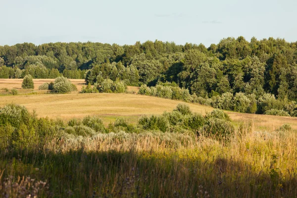 Ländliche Landschaft — Stockfoto