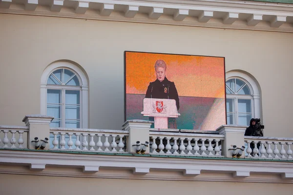 De Voorzitter Dalia Grybauskaite levert een toespraak — Stockfoto