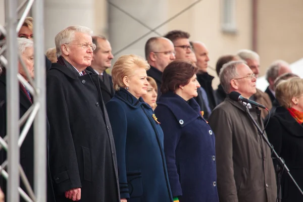 Den nezávislosti ve Vilniusu — Stock fotografie