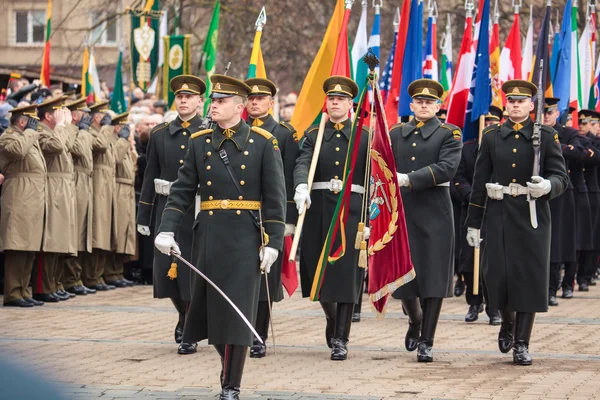 День независимости в Вильнюсе — стоковое фото
