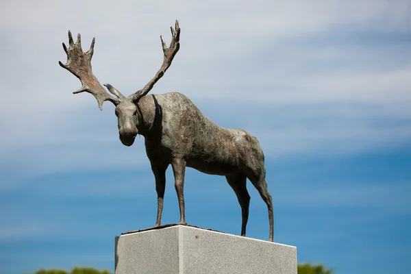 奈达的驼鹿雕塑 — 图库照片