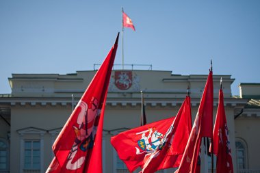 Litvanya Devlet (tarihsel) bayrakları